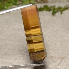 Occhio di tigre Marrone chiaro naturale da 21.30 ct, Taglio a fantasia, Opaco