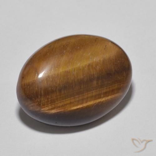 Occhio di tigre Pan di zenzero marrone naturale da 10.52 ct, Ovale, Opaco