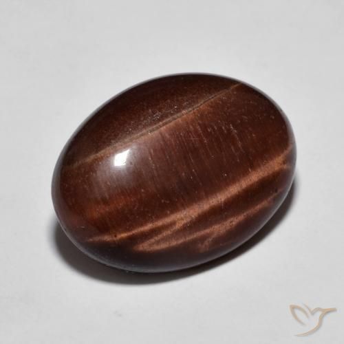 Occhio di tigre Pan di zenzero marrone naturale da 9.58 ct, Ovale, Opaco