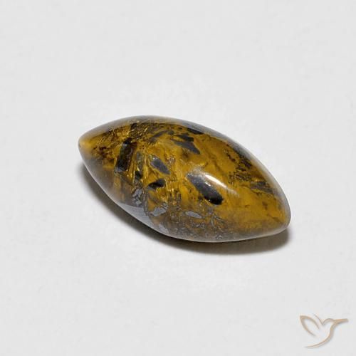 Occhio di tigre Marrone dorato naturale da 1.53 ct, Taglio marquise, Opaco