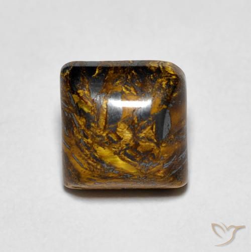 Occhio di tigre Hickory Brown naturale da 1.53 ct, Quadrato, Opaco