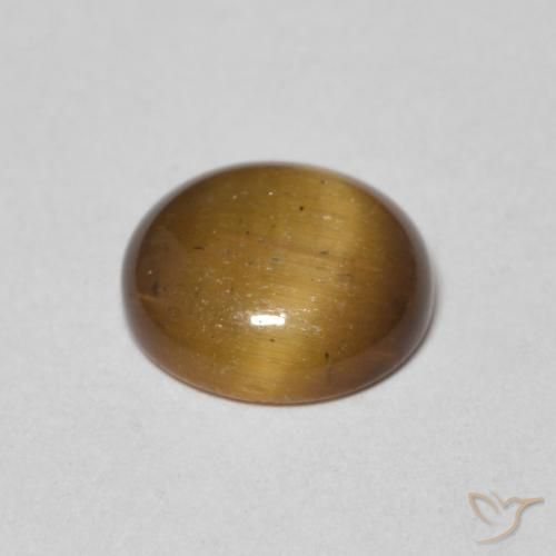 Occhio di tigre Marrone giallastro naturale da 1.54 ct, Rotondo, Opaco