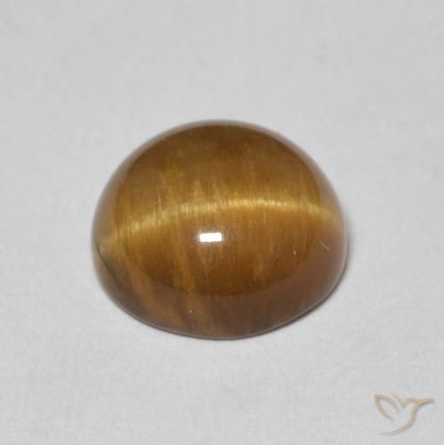 Occhio di tigre Marrone medio naturale da 2.17 ct, Rotondo, Opaco