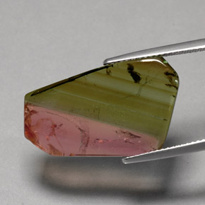 Tormalina naturale multicolore da 12,07 ct, trasparente, trasparente/traslucido