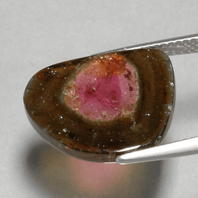 Tormalina naturale multicolore da 6,79 ct, trasparente, trasparente/traslucido