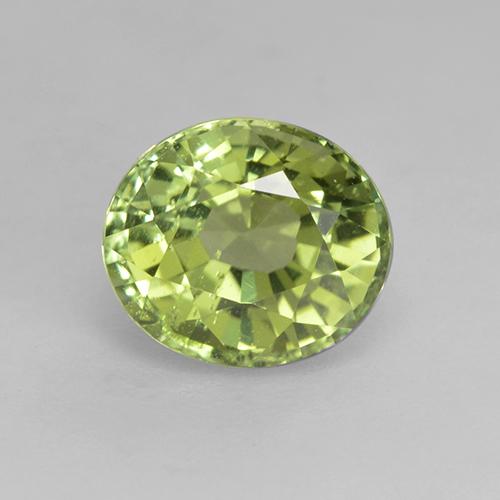 Tormalina naturale verde da 1,27 ct, taglio ovale, VS