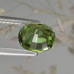 Tormalina naturale verde da 1,50 ct, taglio ovale, VVS-VS