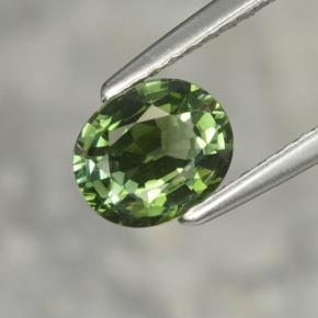 Tormalina naturale verde da 1,02 ct, taglio ovale, VVS