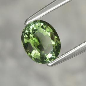 Tormalina naturale verde da 1,02 ct, taglio ovale, VVS