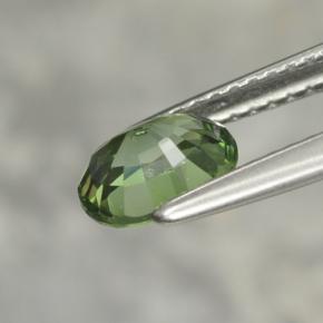 Tormalina naturale verde da 1,02 ct, taglio ovale, VVS