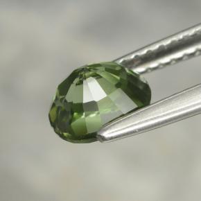 Tormalina naturale verde da 1,22 ct, taglio ovale, VVS-VS