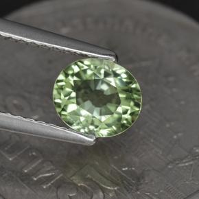 Tormalina naturale verde da 1,00 ct, taglio ovale, VVS