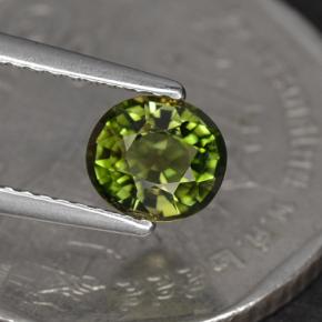Tormalina naturale verde da 1,05 ct, taglio ovale, VS