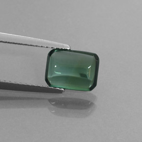 Tormalina naturale verde da 1,69 ct, trasparente, trasparente/traslucido