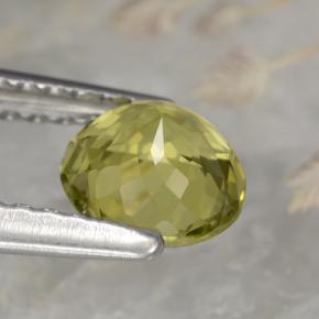 Tormalina naturale giallo da 0,72 ct, taglio rotondo, VVS-VS