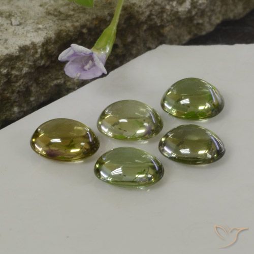 Gemme di Tormalina Multicolore naturale da 5.25 ct, Ovale, Trasparente