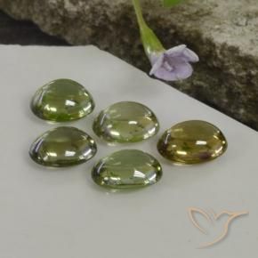 Gemme di Tormalina Multicolore naturale da 5.25 ct, Ovale, Trasparente