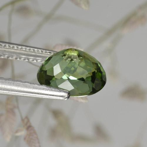 Tormalina naturale verde da 1,17 ct, taglio ovale, VVS-VS