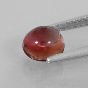 Tormalina naturale multicolore da 1,15 ct, taglio rotondo, trasparente