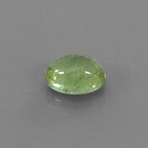 Tormalina naturale verde da 0,99 ct, trasparente, trasparente/traslucido