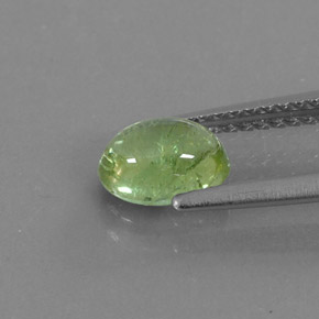 Tormalina naturale verde da 0,99 ct, trasparente, trasparente/traslucido