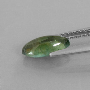 Tormalina naturale verde da 1,25 ct, trasparente, trasparente/traslucido