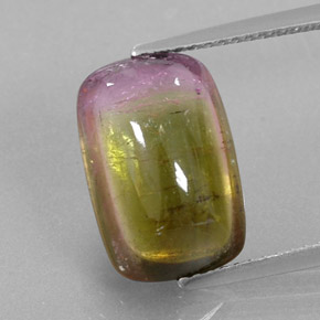 Tormalina naturale bicolore da 6,64 ct, trasparente, trasparente/traslucido