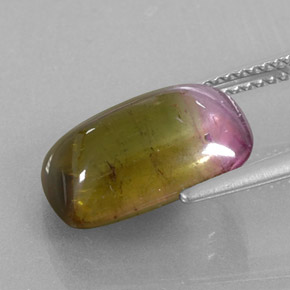 Tormalina naturale bicolore da 6,64 ct, trasparente, trasparente/traslucido