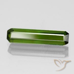 Tormalina Verde scuro naturale da 1.45 ct, Ottagonale / Taglio smeraldo, VVS-VS