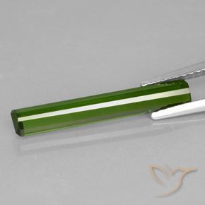 Tormalina Verde foresta naturale da 1.69 ct, Ottagonale / Taglio smeraldo, VVS-VS