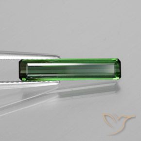 Tormalina Fresco verde foresta naturale da 1.50 ct, Ottagonale / Taglio smeraldo, VS