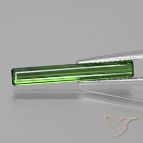 1.53ct Naturale Verde foresta Tormalina, Taglio smeraldo, VS
