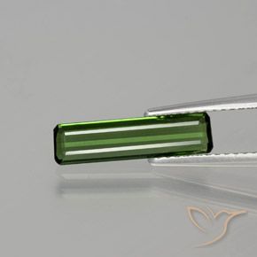 1.15ct Naturale Verde foresta Tormalina, Taglio smeraldo, VS