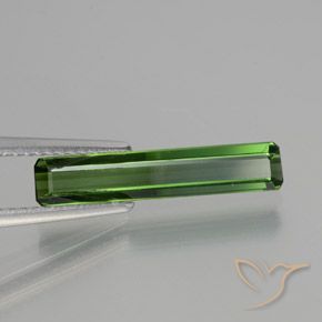 Tormalina Verde scuro naturale da 1.45 ct, Ottagonale / Taglio smeraldo, VVS-VS