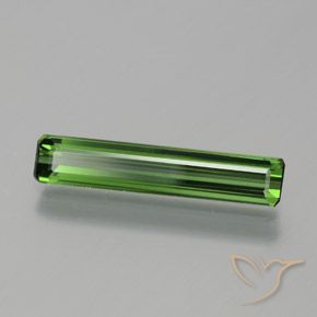 Tormalina Verde foresta naturale da 1.35 ct, Ottagonale / Taglio smeraldo, VVS-VS