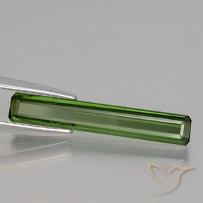 Tormalina Verde foresta naturale da 1.47 ct, Ottagonale / Taglio smeraldo, VS