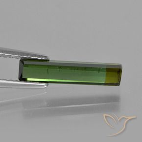 Tormalina Verde terroso naturale da 1.52 ct, Ottagonale / Taglio smeraldo, VS-SI