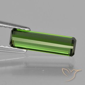 Tormalina Verde medio naturale da 1.12 ct, Ottagonale / Taglio smeraldo, VVS-VS