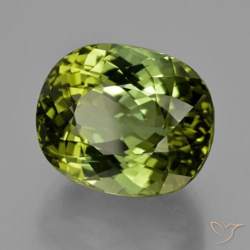 Tormalina Verde foresta naturale da 24.08 ct, Ovale, VVS