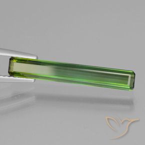 Tormalina Verde medio naturale da 1.47 ct, Ottagonale / Taglio smeraldo, VVS