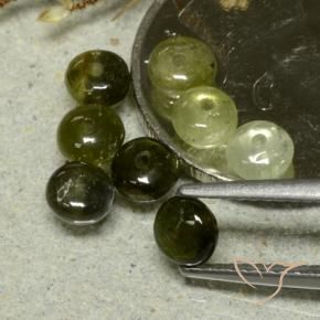 Gemme di Tormalina Verde foresta naturale da 3.30 ct, Taglio a fantasia, Traslucido