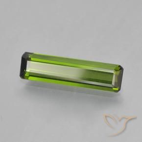 Tormalina Alghe Verdi naturale da 1.45 ct, Ottagonale / Taglio smeraldo, VVS-VS
