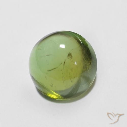 Tormalina Verde scuro naturale da 1.57 ct, Rotondo, Trasparente