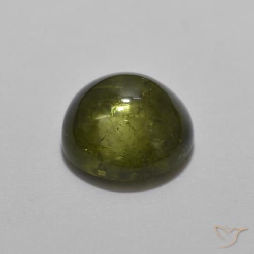 Tormalina Verde foresta naturale da 1.53 ct, Rotondo, Trasparente