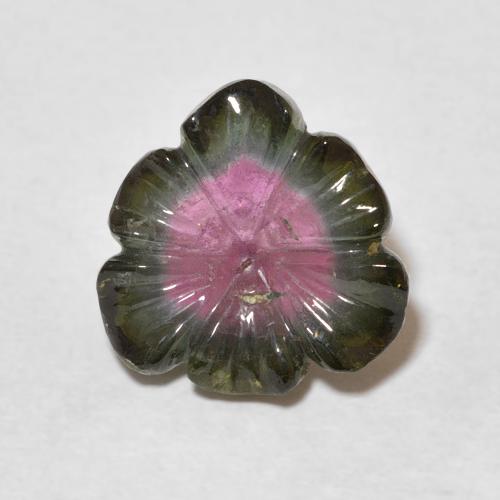 5.23ct Naturale Colo anguria Tormalina, Taglio a fiore, Trasparente
