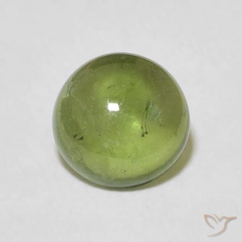 1.57ct Naturale Verde foresta chiaro Tormalina, Rotondo, Trasparente