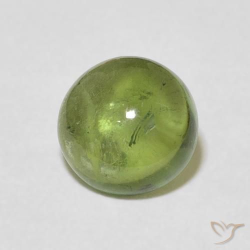 Tormalina Verde foresta chiaro naturale da 1.57 ct, Rotondo, Trasparente
