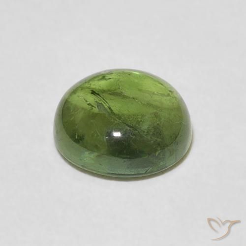 Tormalina Verde foresta chiaro naturale da 1.57 ct, Rotondo, Trasparente