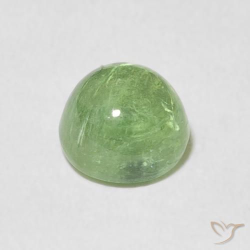 Tormalina Verde giallastro naturale da 1.54 ct, Rotondo, Trasparente