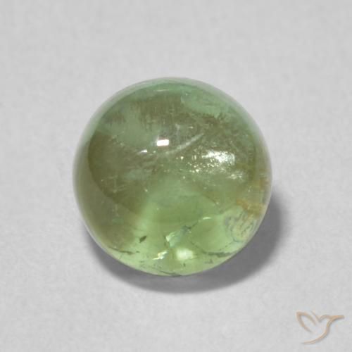 1.35ct Naturale Verde grigiastro Tormalina, Rotondo, Trasparente